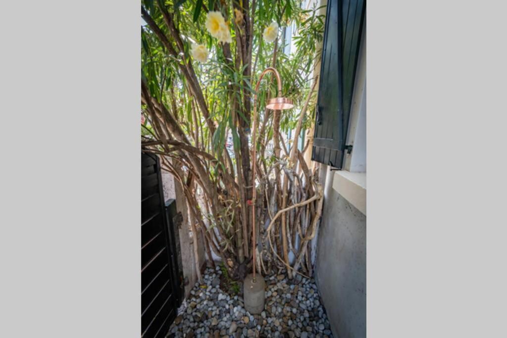 Cote Des Basques, Terrasse, Confort Et Qualite Μπιαρίτζ Εξωτερικό φωτογραφία